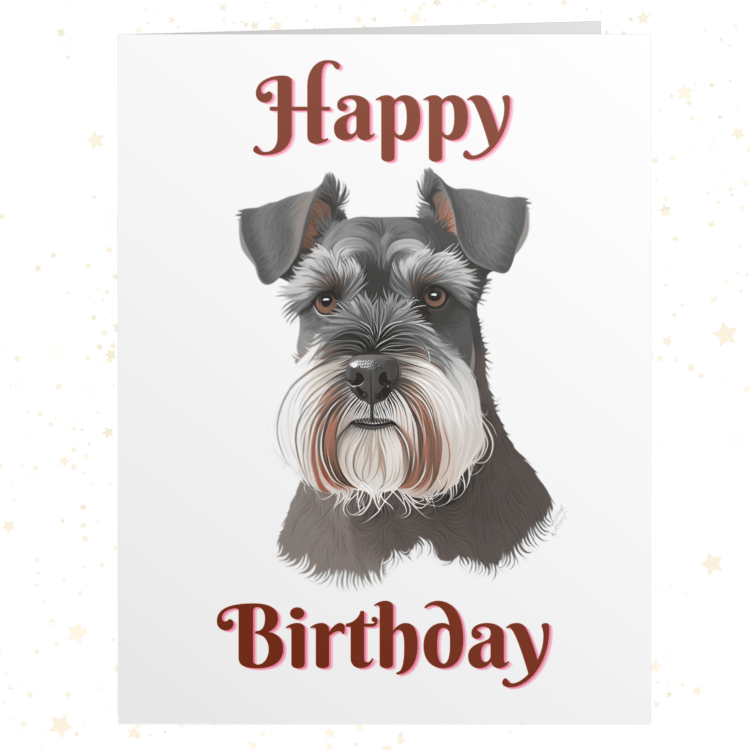 Schnauzer 1