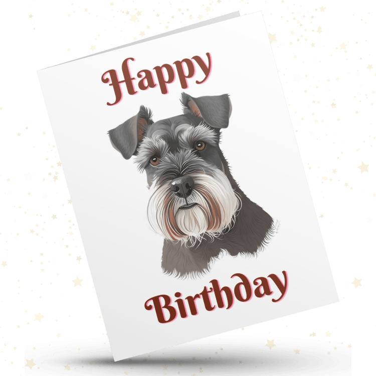 Schnauzer 2